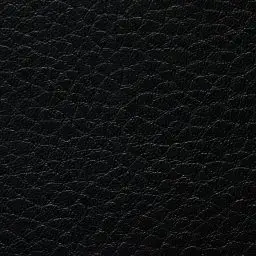 0201 Black