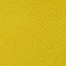 0211 Yellow