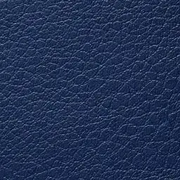 0213 Blue