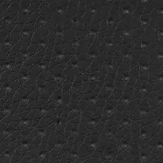 0401 Black
